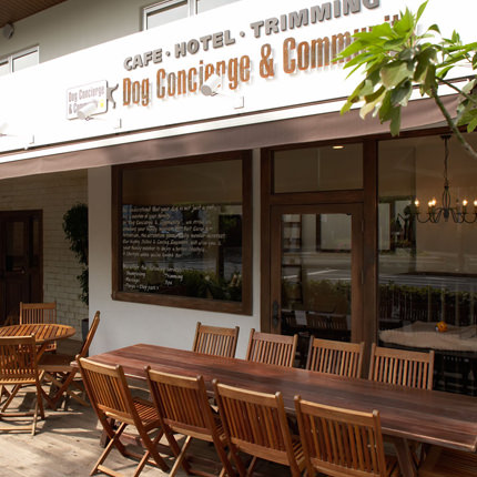 Dog cafe & Salon